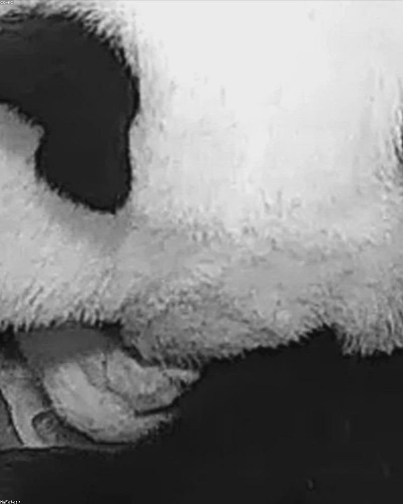 Scéance Dans une bulle avec papa